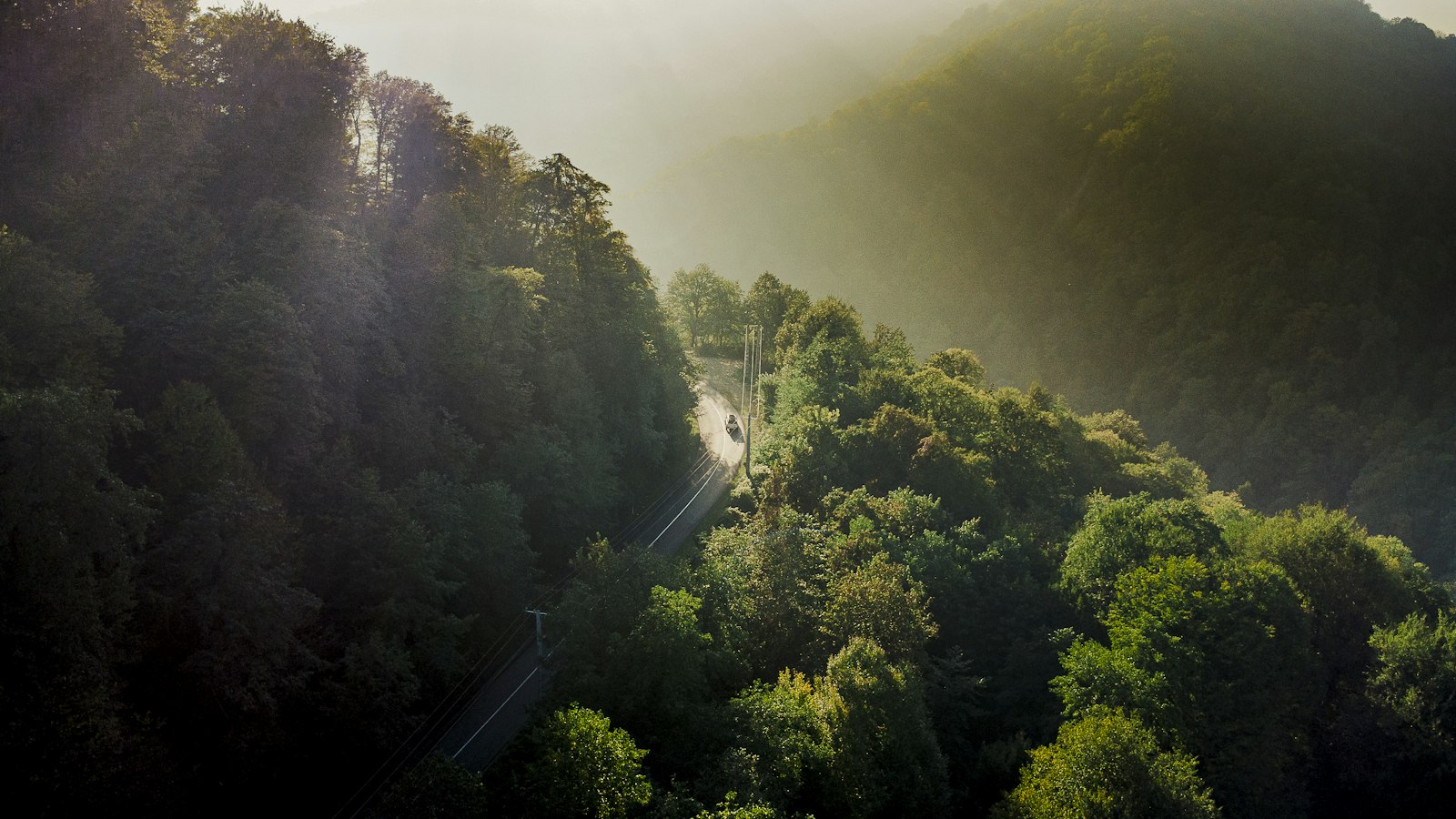 Vista aérea de uma estrada sinuosa cortando uma floresta